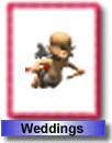 Engagements / Weddings